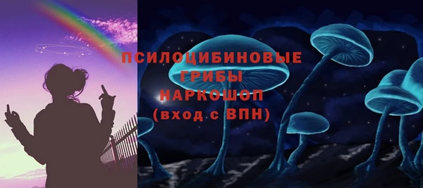 apvp Балахна
