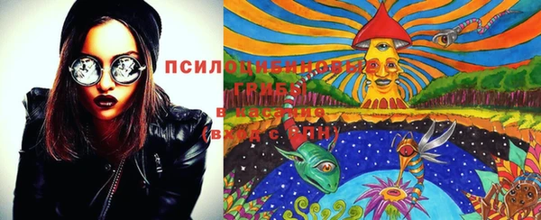 ECSTASY Баксан