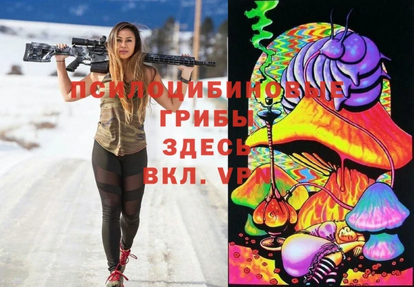 apvp Балахна
