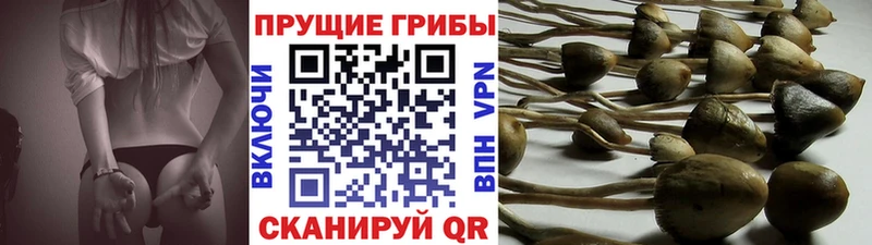Псилоцибиновые грибы мухоморы  KRAKEN рабочий сайт  Бор 