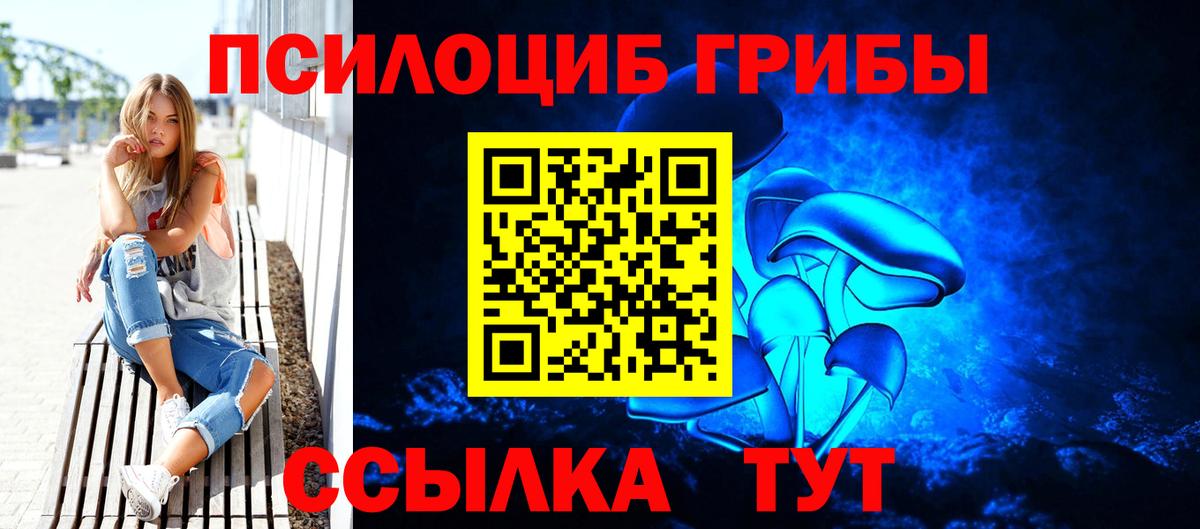Галлюциногенные грибы MAGIC MUSHROOMS  Вход с VPN  Бор  Галлюциногенные грибы Psilocybe 